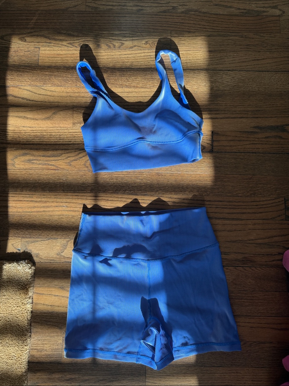 Zulu & Zephyr Blue Ribbed Seamless Sports Bra and High-Waist Shorts Set